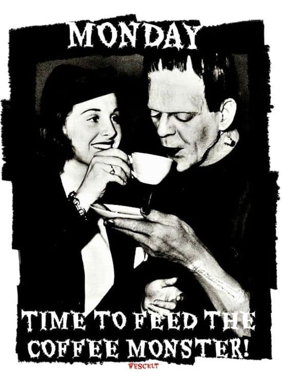 Čas nakŕmiť kávovú príšeru