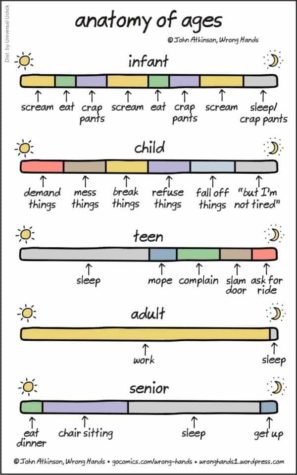 Anatomie des Alters