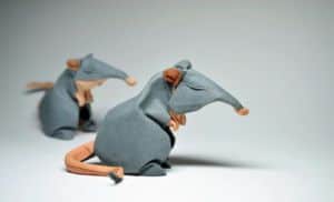 Mit Wasser gefaltenes Origami