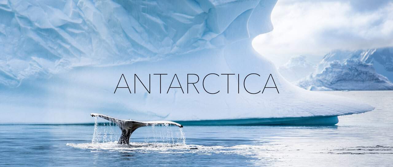 Антарктике