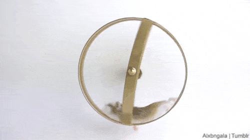 Montag - und wieder dreht das Laufrad