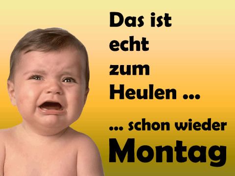 Es ist zum heulen, schon wieder Montag!