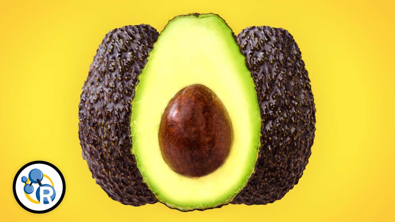 Waarom we meer avocado's zouden moeten eten