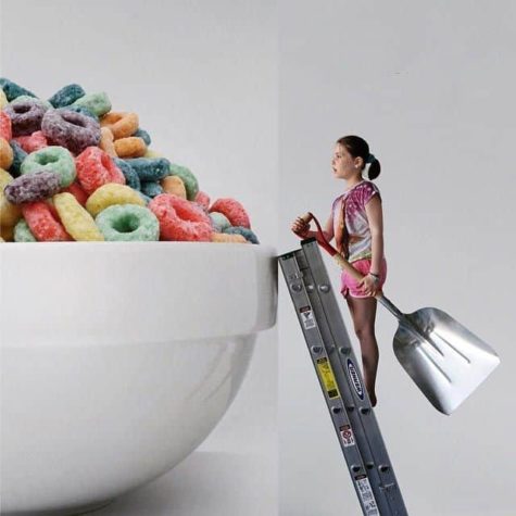 Humorvolle Combophotos von Stephen McMennamy