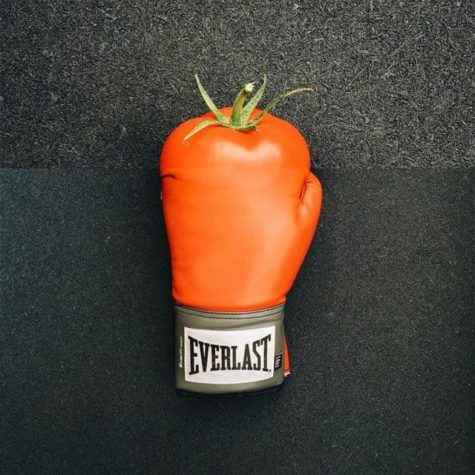 Humorvolle Combophotos von Stephen McMennamy