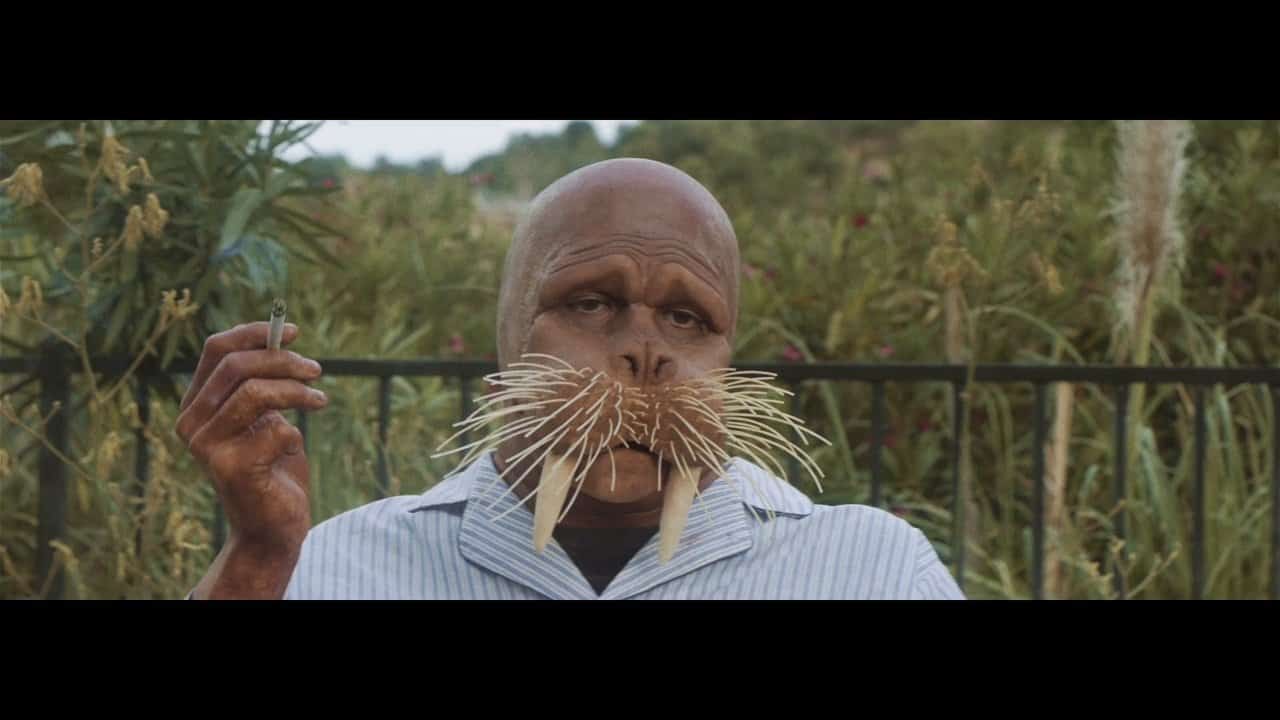 The Walrus