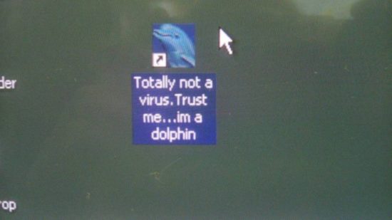 Tro mig, jeg er en delfin!