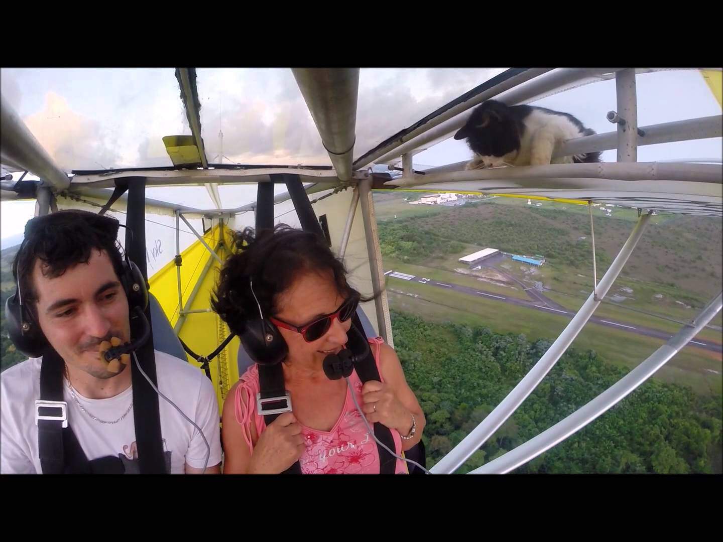 Und da war noch die Katze auf dem Tragflügel des Ultraleichtflugzeugs