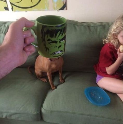 Morgendlicher Tassen Schnappschuss