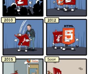 A Brief History of Flash