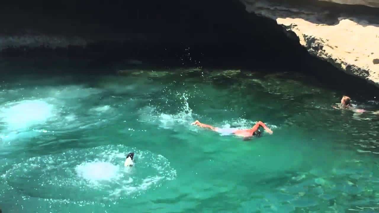 hund beim klippenspringen