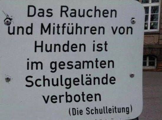 Hunde rauchen verboten