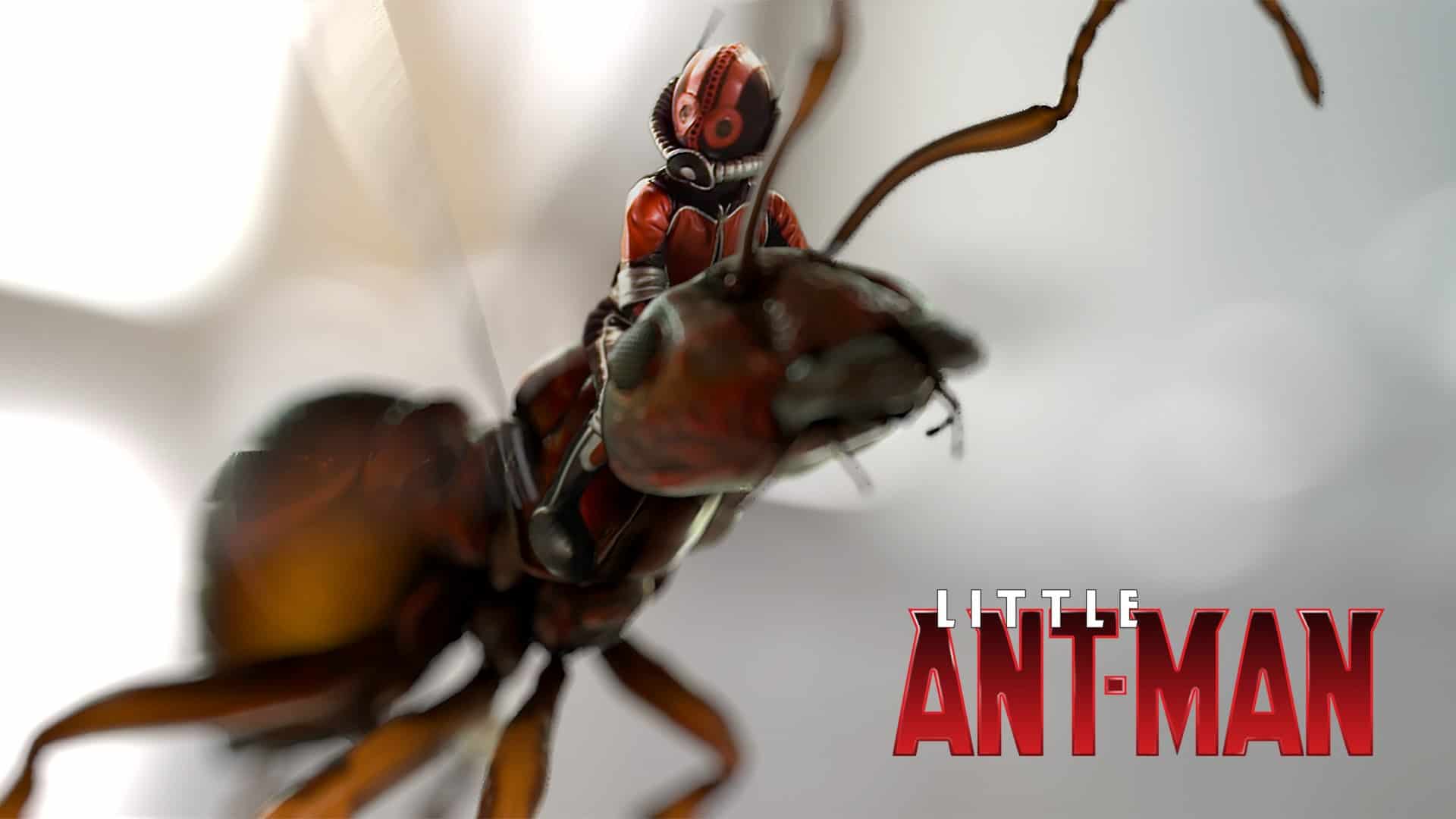 Little Ant-Man und sein Kampf gegen den räuberischen Marienkäfer