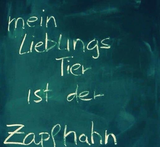 Was ist dein Lieblingstier?