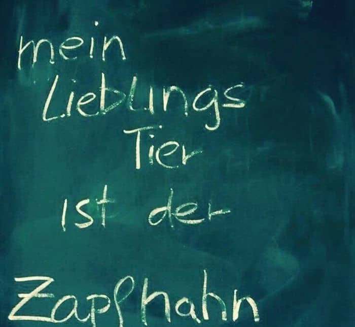 Was ist dein Lieblingstier?