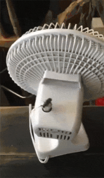 Sommer, Ventilator und Kakerlake 