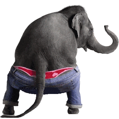 Twerking Elephant