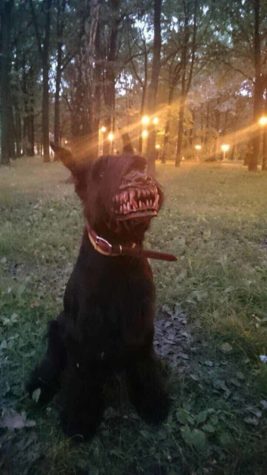 Werewolf Maulkorb