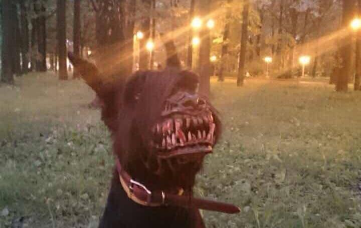 Werwolf Maulkorb