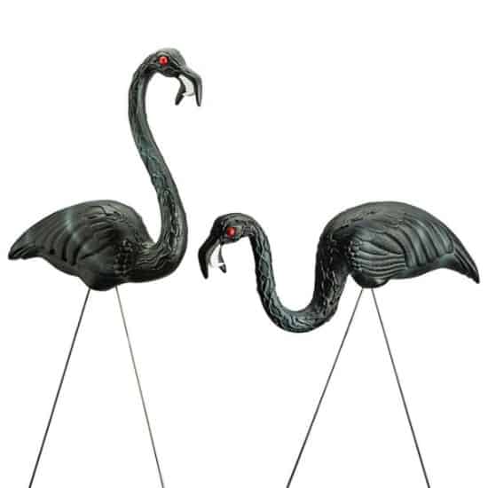 Zombie Flamingos