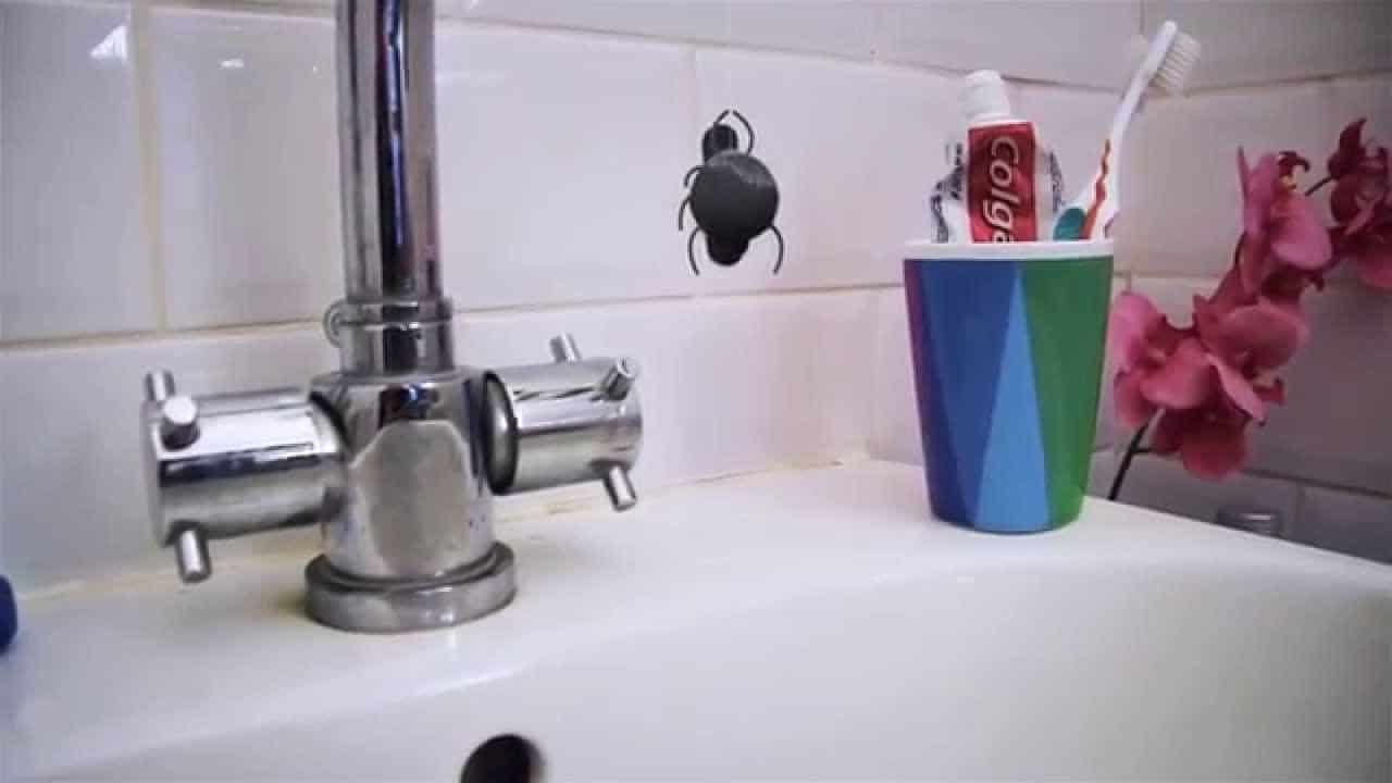Cuarto de baño: Araña de monopatín en el fregadero