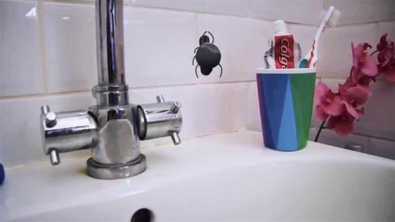 Bathroom Boarder: Skateboard-Spinne im Spülbecken