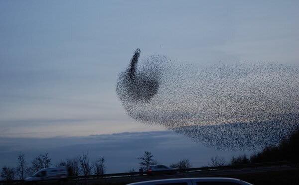 Soviel zum Herbstanfang