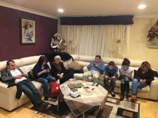 Kleiner Familienbesuch
