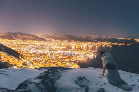 Ich habe meinen Job gekündigt, um mit Huskies Abenteuer zu erleben 