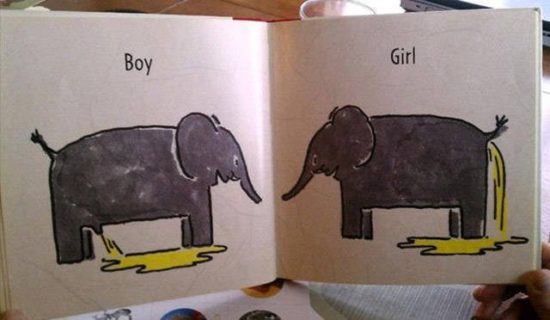 Kinderbuch erklärt Unterschied zwischen Mann und Frau