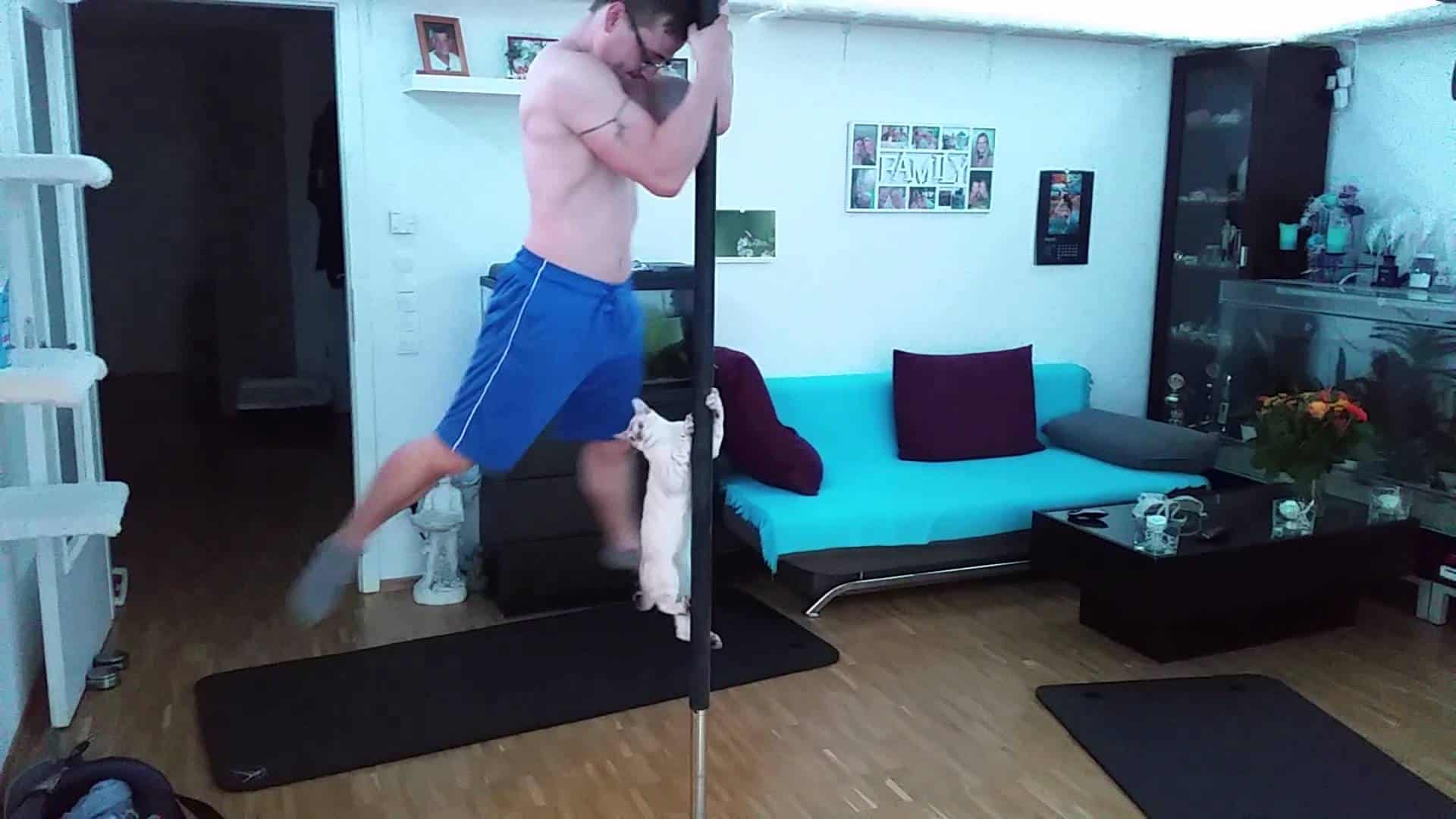 Pole dance: this cat shows what it can do on the pole.