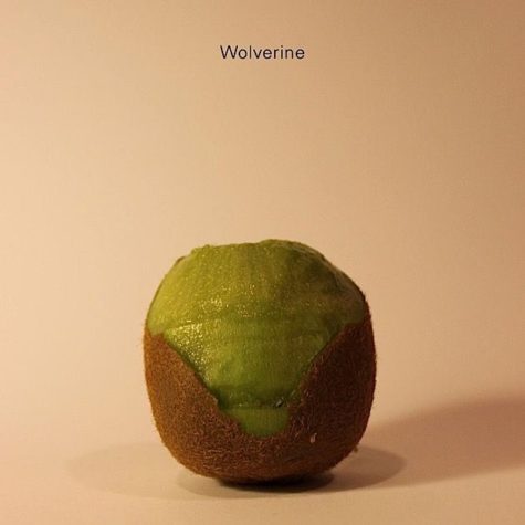 Prominente Köpfe aus Kiwis geschnitzt
