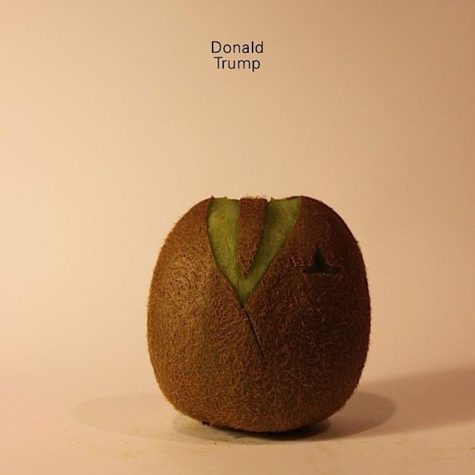 Prominente Köpfe aus Kiwis geschnitzt