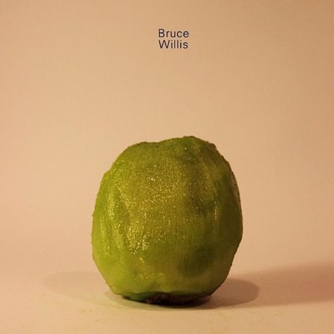 Prominente Köpfe aus Kiwis geschnitzt