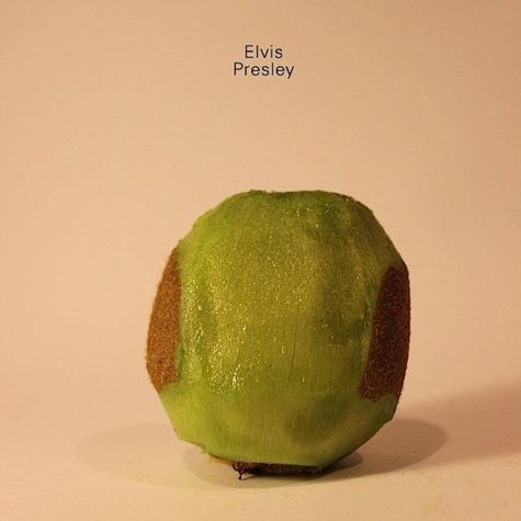 Prominente Köpfe aus Kiwis geschnitzt