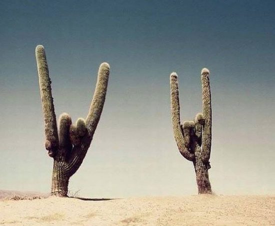 The desert is badass