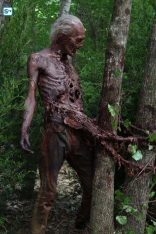 A 6ª temporada de The Walking Dead será uma nova temporada "surpreendente"