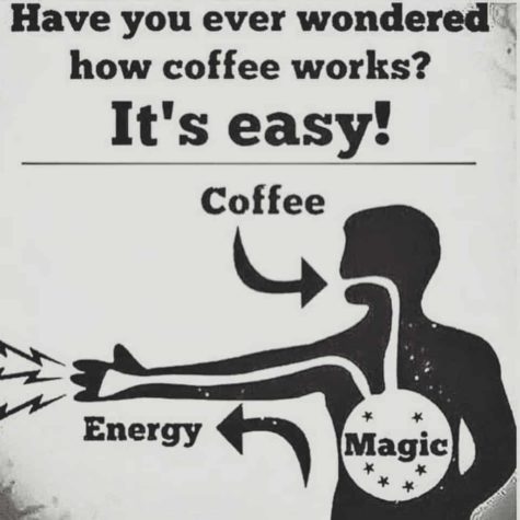 Hoe koffie werkt
