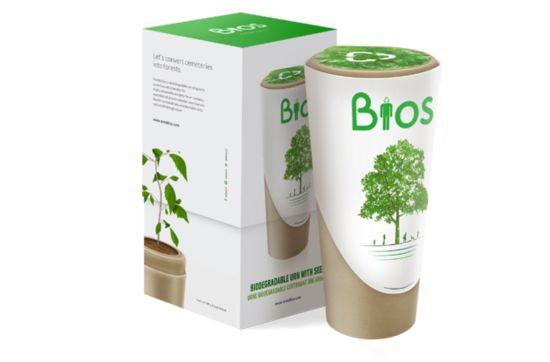 Bios Urn: Eine Urne, die deine Asche in einen Baum verwandelt