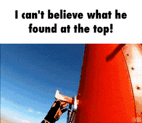 Unfassbar was da oben auf dem Mast gefunden wurde