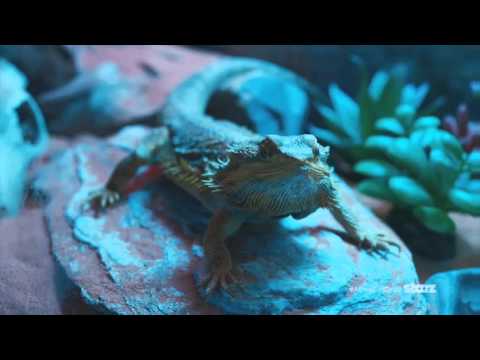 Die ersten vier Minuten aus «Ash vs. Evil Dead»