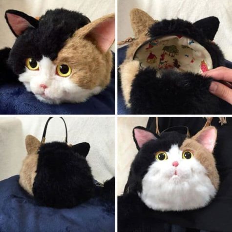 Kedi çantası
