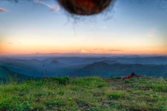 Nutscapes: Einfach mal den Sack ins Foto hängen
