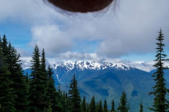 Nutscapes: Einfach mal den Sack ins Foto hängen