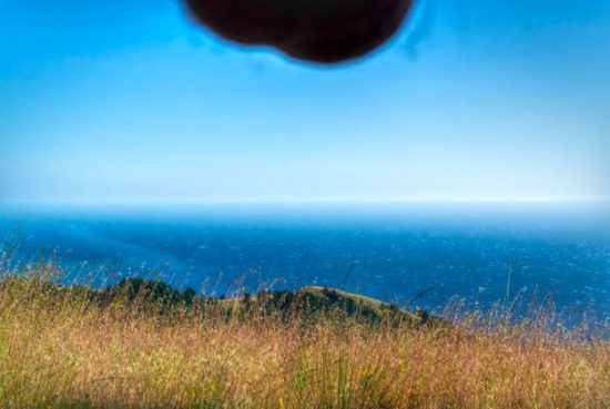 Nutscapes: Einfach mal den Sack ins Foto hängen