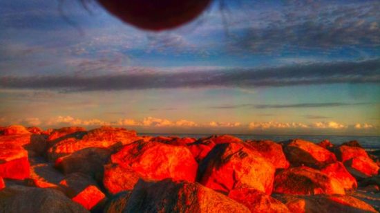 Nutscapes: Einfach mal den Sack ins Foto hängen