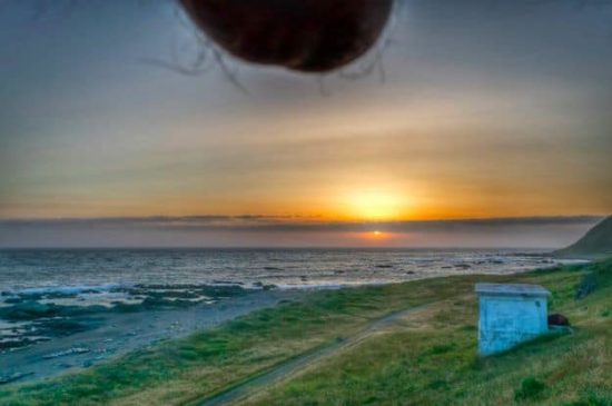 Nutscapes: Einfach mal den Sack ins Foto hängen