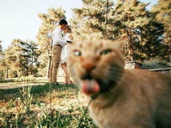 Photobomb des Tages