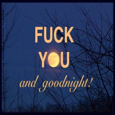 Fuck you and Goodnight!