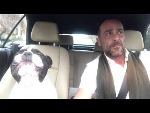 Bulldog and his master sing a duet
